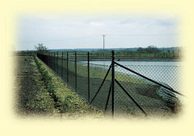chainlink fencing